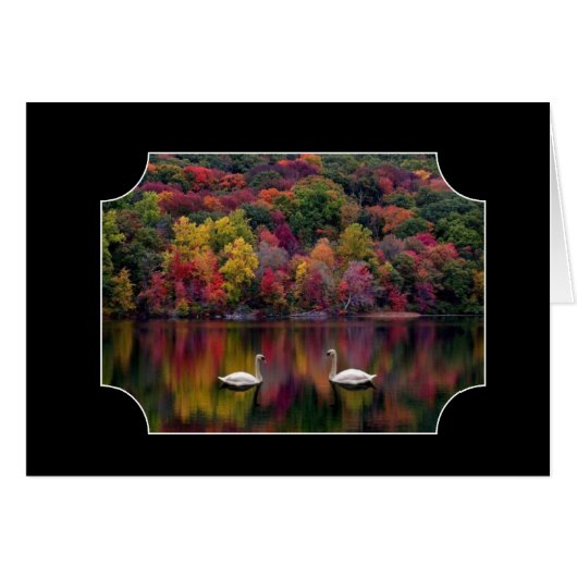 Two Swans (Front Horizontal)