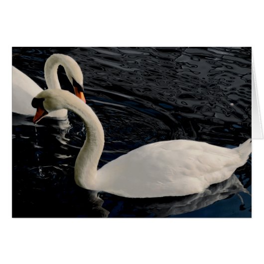 Two Swans (Front Horizontal)