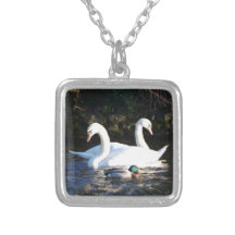 Two Swans And A Duck