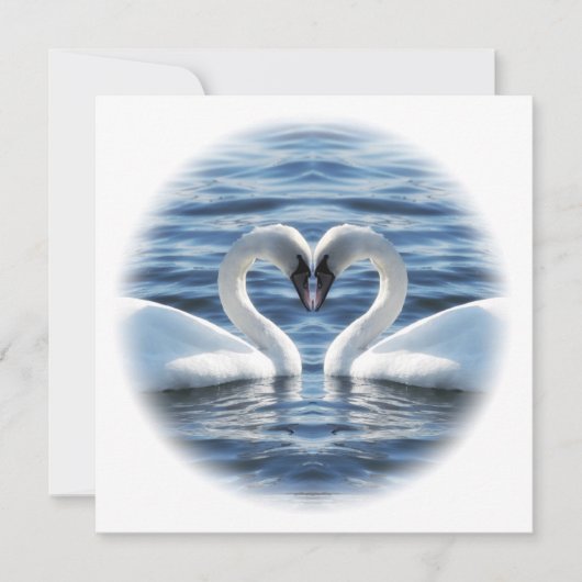 Two swans in love (Front)