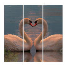 Two swans making a heart with their necks, triptyc