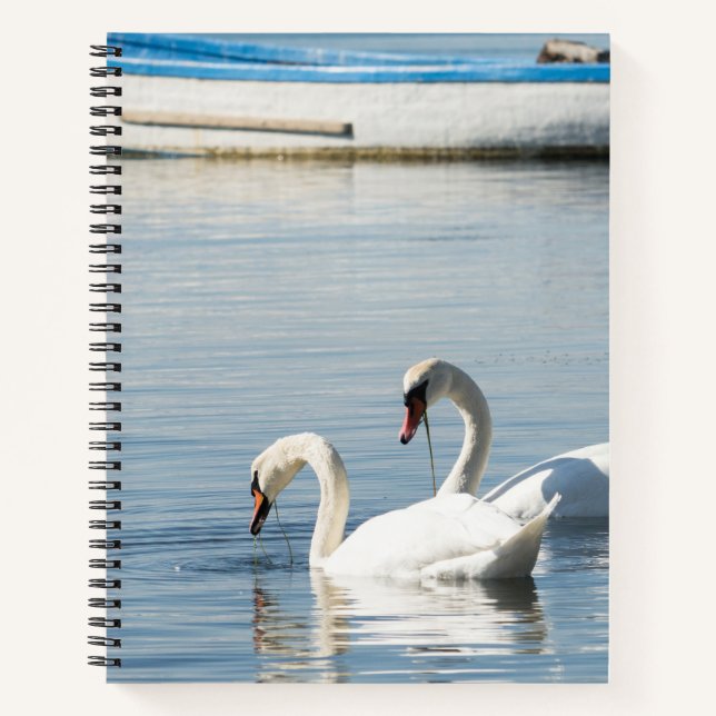Two swans notebook (Front)