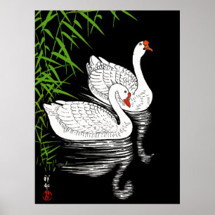 Two Swans on a Pool - White on a Black Background Poster