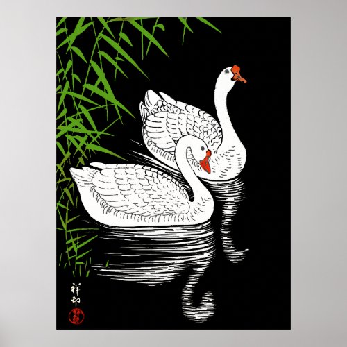 Two Swans on a Pool _ White on a Black Background  Poster