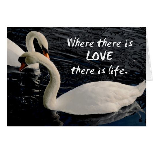 Two Swans on Lake Cards (Front Horizontal)