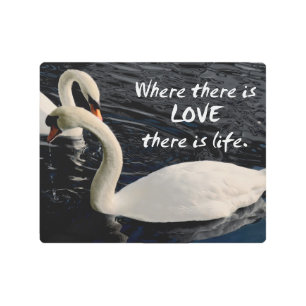 Two Swans on Lake Metal Print