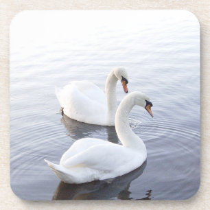 Two Swans Swimming on Tranquil Lake Beverage Coaster