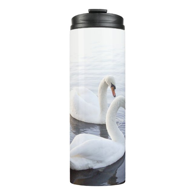 Two Swans Swimming on Tranquil Lake Thermal Tumbler (Front)