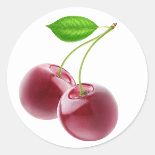 Two sweet cherries classic round sticker