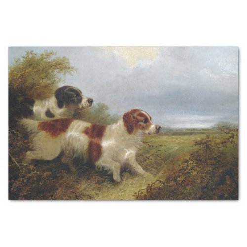 Two Terriers by Edward Armfield Tissue Paper