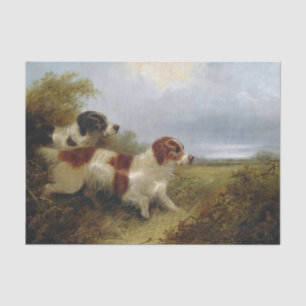 Two Terriers by Edward Armfield Tissue Paper