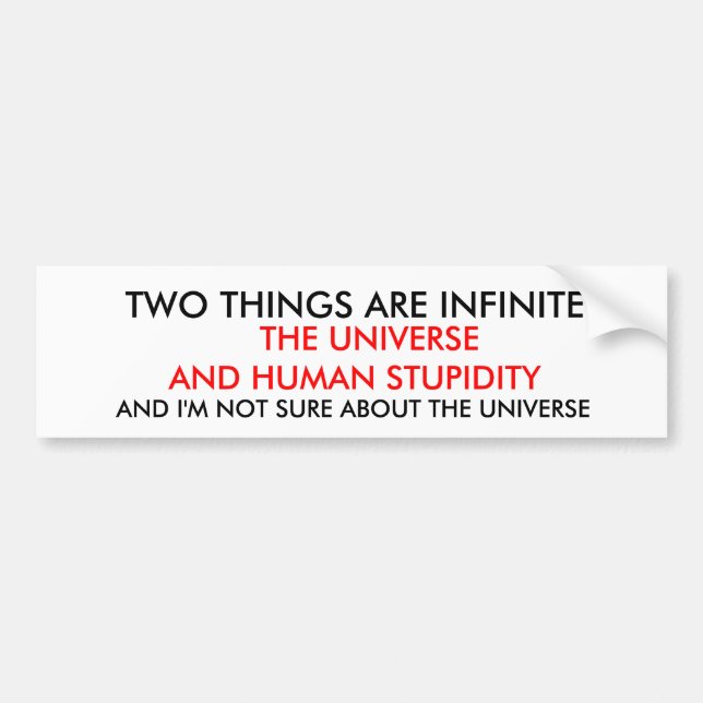 TWO THINGS ARE INFINITE BUMPER STICKER (Front)