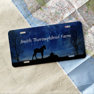 Two Thoroughbred Racehorse Foals License Plate