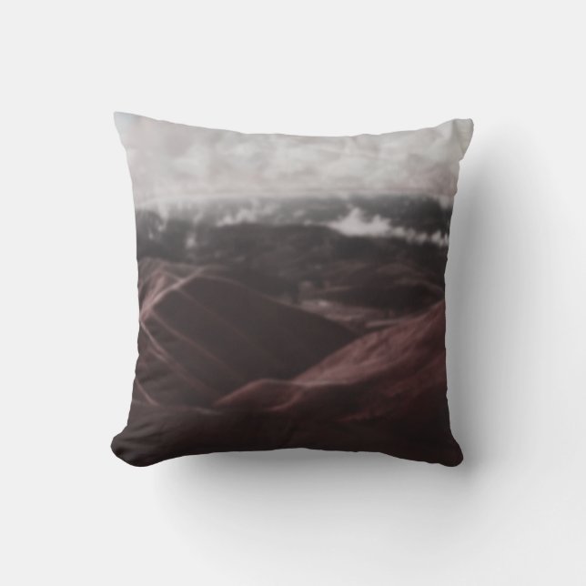 Two Throw Pillow (Front)