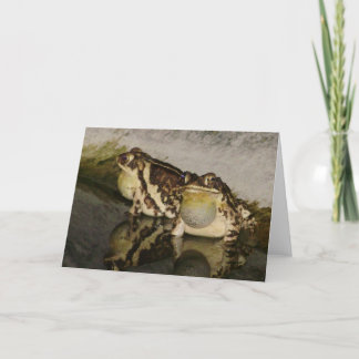 Two Toads Looking for Chicks Notecard