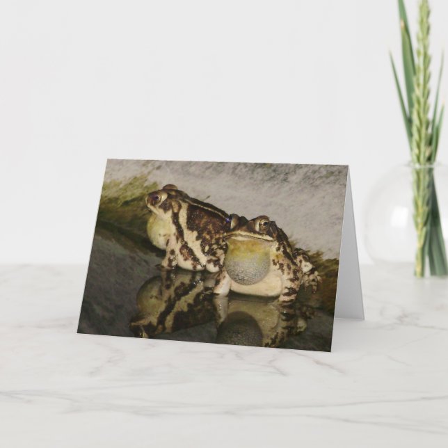 Two Toads Looking for Chicks Notecard (Front)