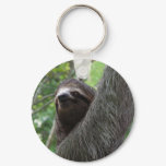Two Toed Sloth Keychain