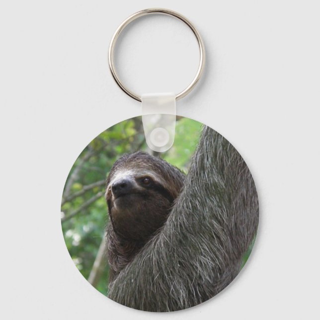 Two Toed Sloth Keychain (Front)