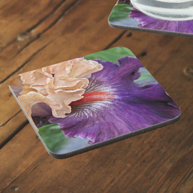 Two-Tone Bearded Iris Bloom Floral Beverage Coaster (In Situ)