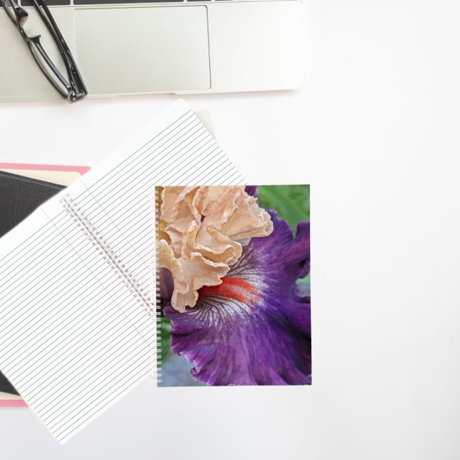 Two-Tone Bearded Iris Bloom Floral Notebook (In Situ)