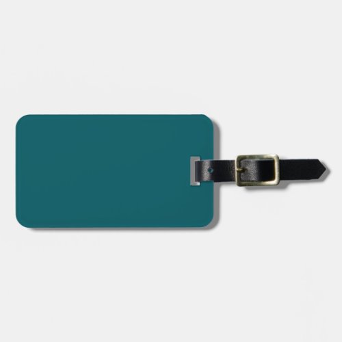 Two_Tone Brown  Aqua Teal Luggage Tag