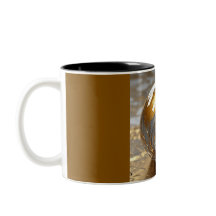 Two-Tone Mug 11oz (Marble-4)