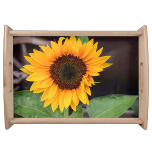 Two-Tone Mug, 15 oz Serving Tray