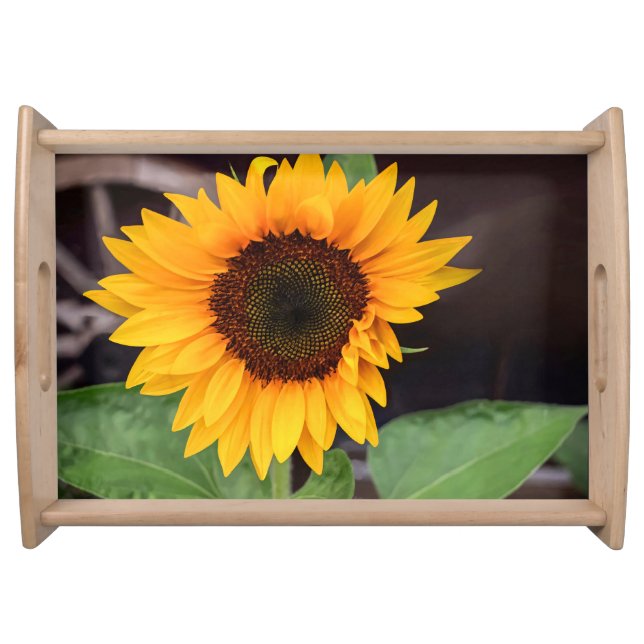 Two-Tone Mug, 15 oz Serving Tray (Front)