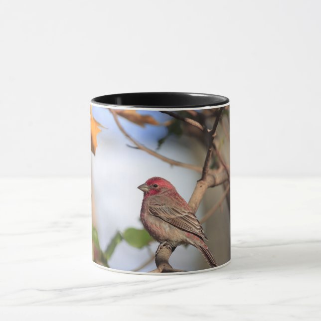 Two tone mug with picture of a house finch (Center)