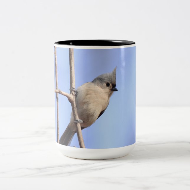 Two tone mug with picture of a tufted titmouse (Center)