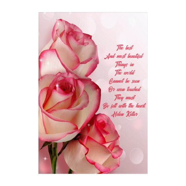  Two Tone Roses Helen Keller Quote Acrylic Art (Front)