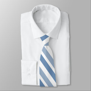 Two Tone Slate Blue Gray White Diagonal Stripes Neck Tie