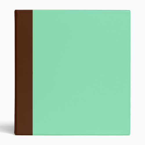 Two_Toned Brown  Mint Green Binder