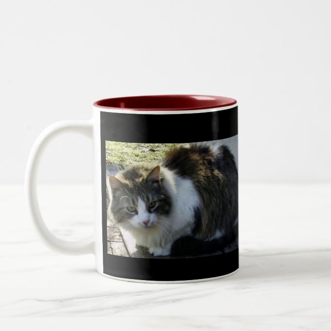 Two Toned Kitty Mug (Left)