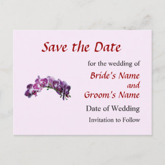 Two-Toned Magenta Orchids Save the Date Announcement Postcard