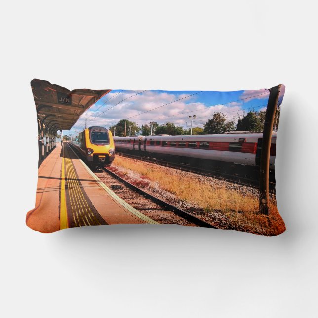 Two trains lumbar pillow (Front)
