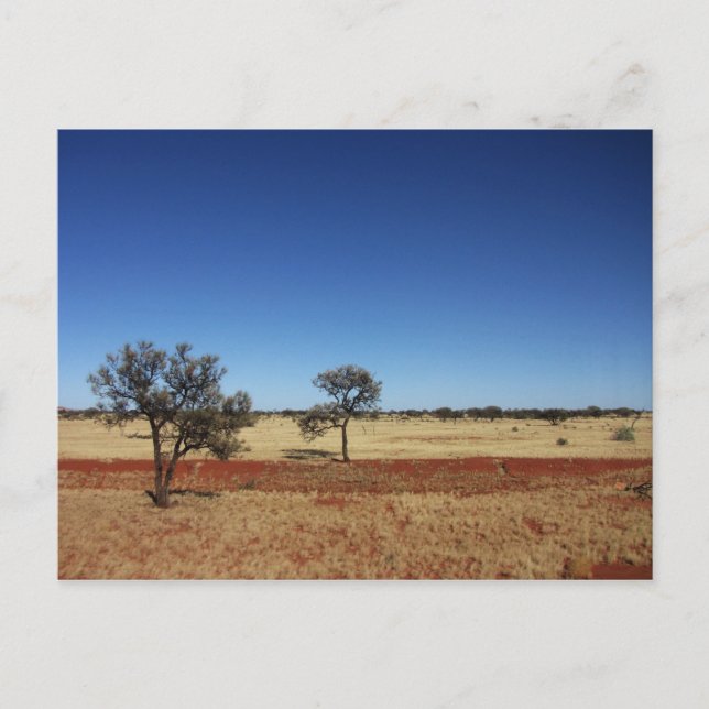 Two Trees Postcard (Front)