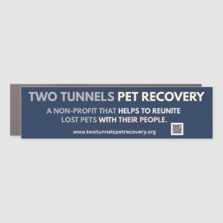 Two Tunnels Car Magnet