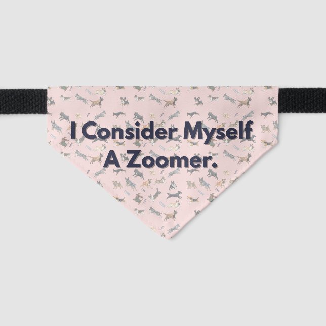 Two Tunnels Dog Bandana  Pet Bandana Collar (Front)