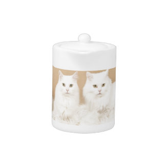 Two Turkish angoras cats Teapot