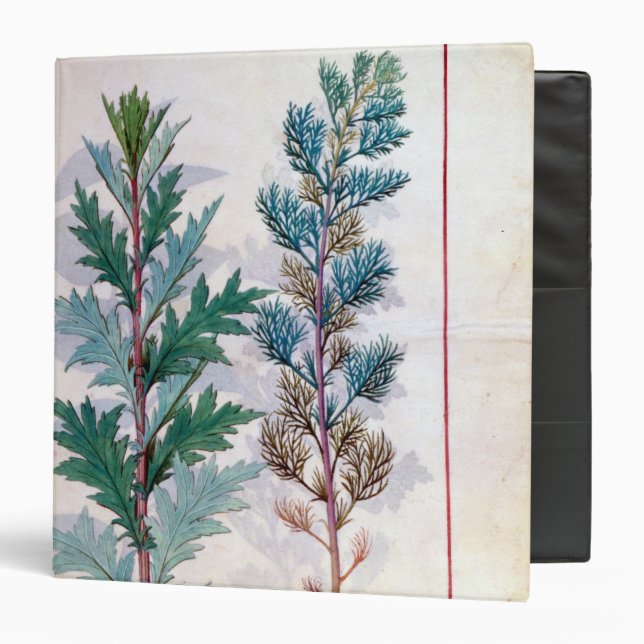Two varieties of Artemesia 3 Ring Binder (Front/Inside)