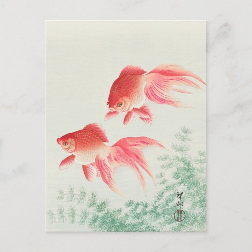 Two Veil Goldfish Painting by Ohara Koson Postcard