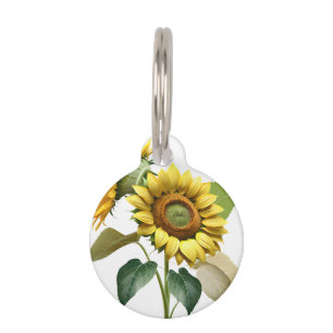 Two Vibrant Sunflowers with Lush Green Leaves Pet ID Tag