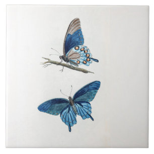 Two Vintage Blue Butterflies Artistic Ceramic Tile