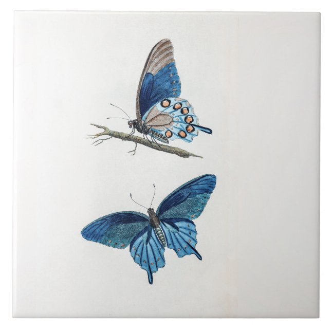 Two Vintage Blue Butterflies Artistic  Ceramic Tile (Front)