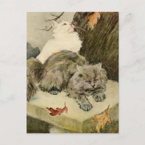 Two Vintage Fluffy Cats Resting Outdoors Announcement Postcard