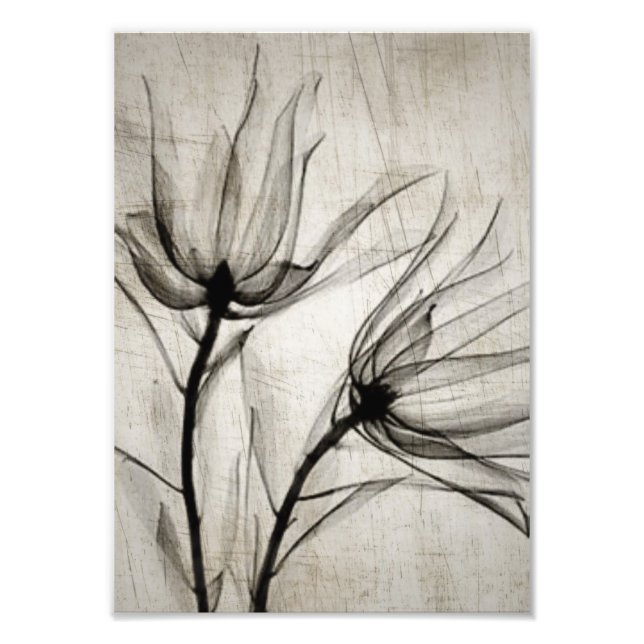 Two Vintage X-Ray Flowers Photo Print (Front)