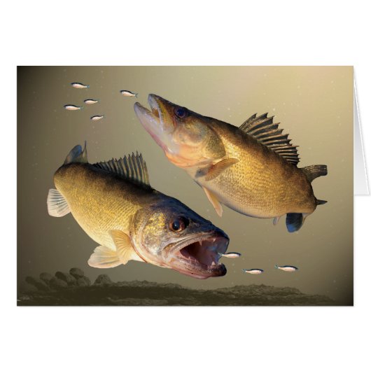 Two Walleye Feeding Cards (Front Horizontal)
