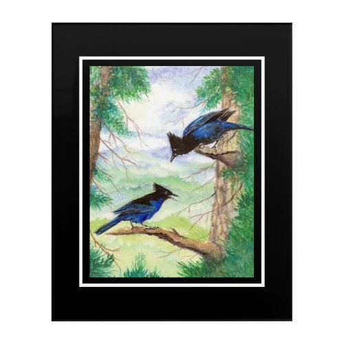 Two Watercolor Stellar Jay Birds Forest Trees  Acrylic Print