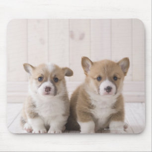 Two Welsh Corgi Sitting Mouse Pad